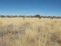 Kalahari sand dune, Sib project area